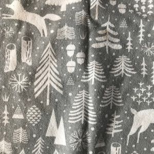 Land of Nod (Crate and Kids) Winter Pajamas 4T